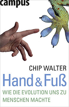 Hand & Fuß