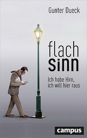 Flachsinn