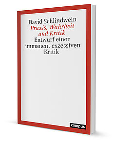 Praxis, Wahrheit und Kritik