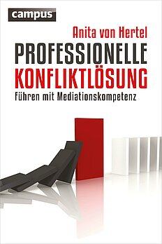 Professionelle Konfliktlösung