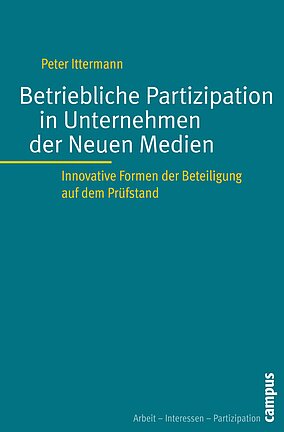 Betriebliche Partizipation in Unternehmen der Neuen Medien