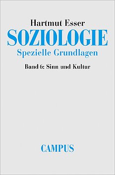 Soziologie. Spezielle Grundlagen