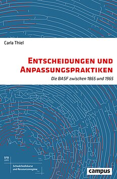 Entscheidungen und Anpassungspraktiken