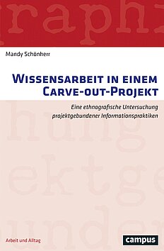 Wissensarbeit in einem Carve-out-Projekt