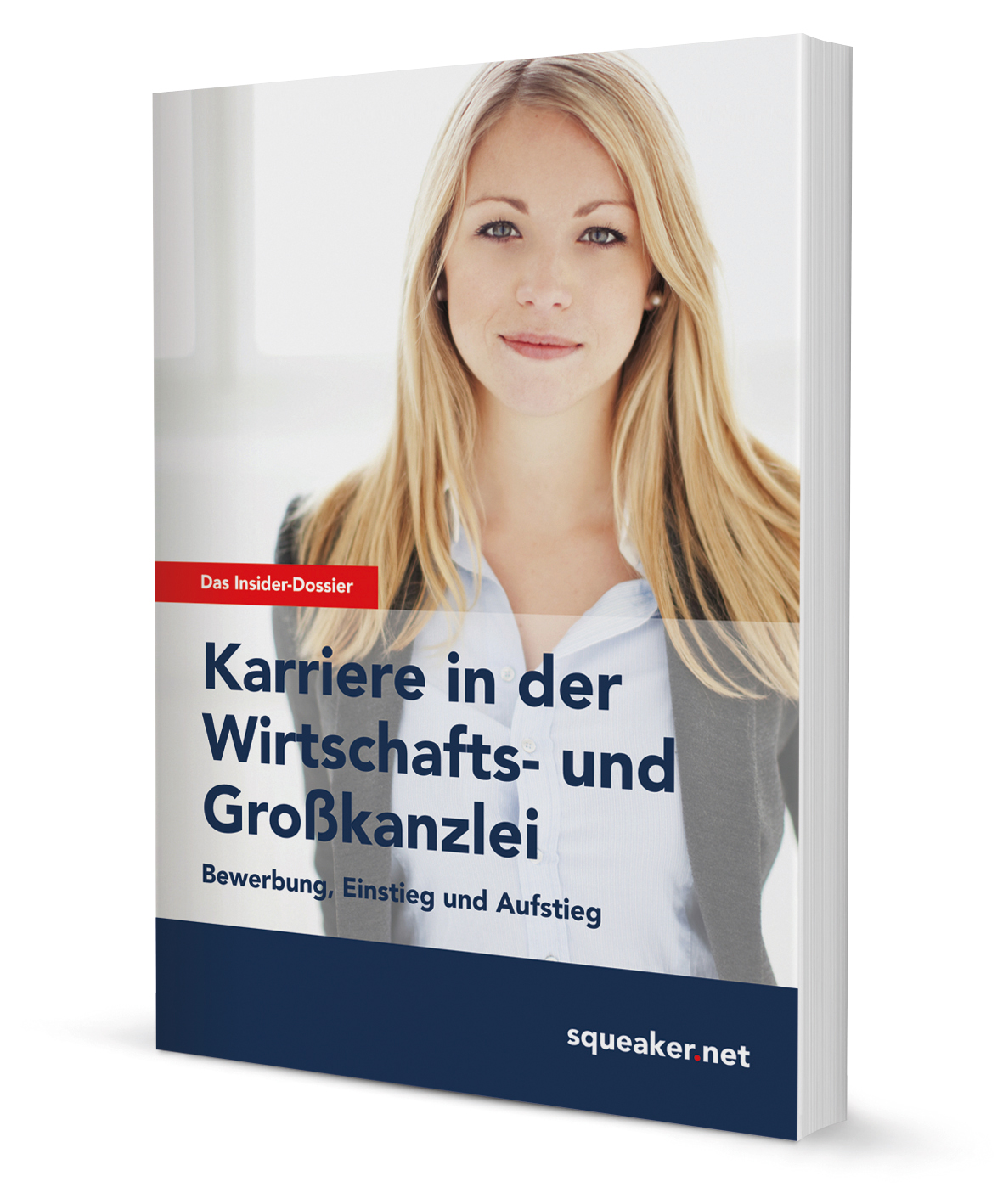 Das Insider-Dossier: Karriere in der Wirtschafts- und Großkanzlei